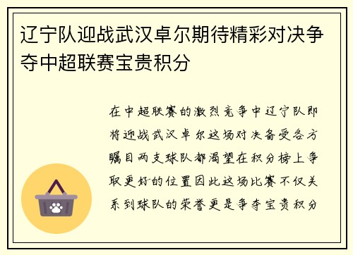辽宁队迎战武汉卓尔期待精彩对决争夺中超联赛宝贵积分
