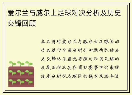 爱尔兰与威尔士足球对决分析及历史交锋回顾